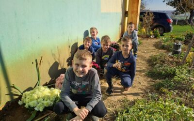 Sadnja cvijeća – učenici brinu o okolišu