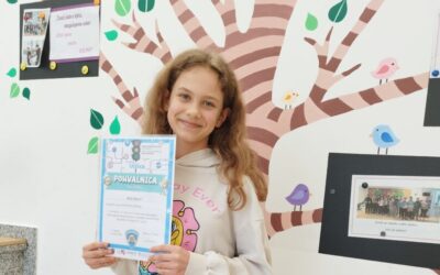 Natjecanje iz poznavanja prometnih propisa